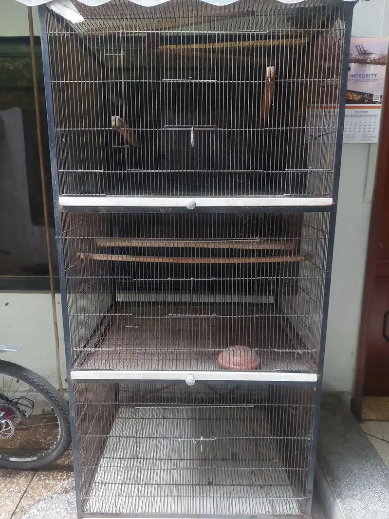 Master cage for parrots