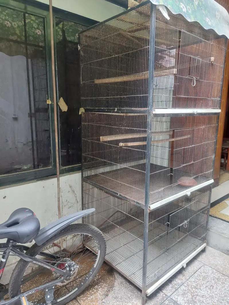 Master cage for parrots — photo 2