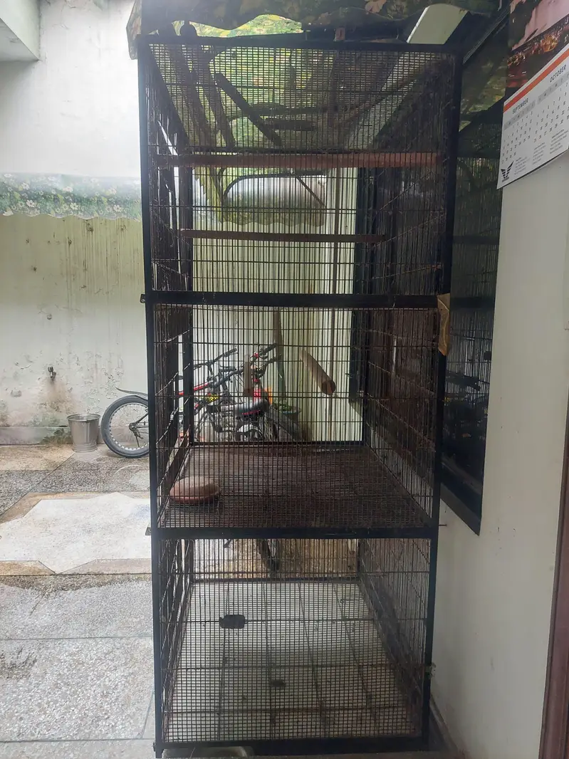 Master cage for parrots — photo 3