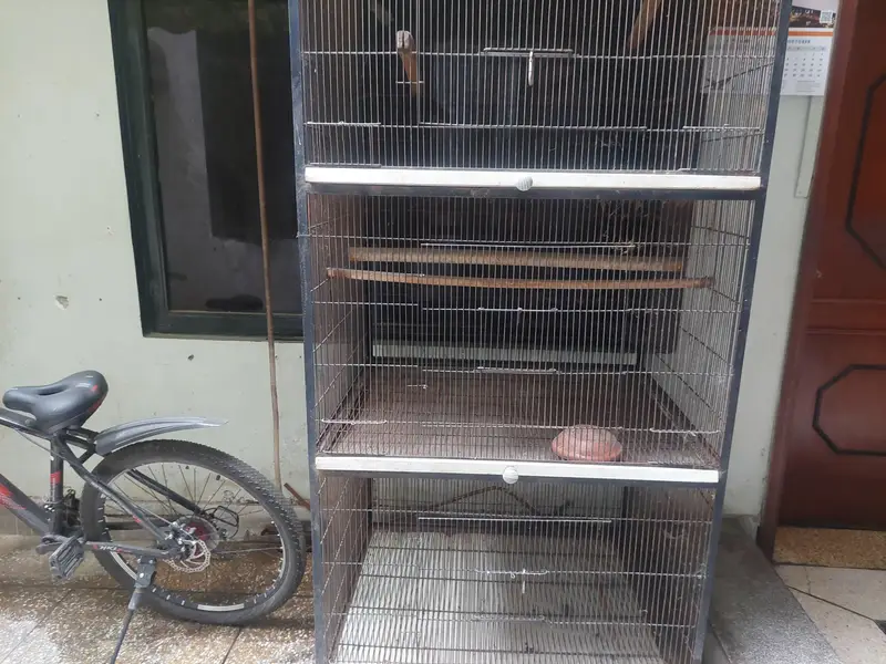 Master cage for parrots — photo 4