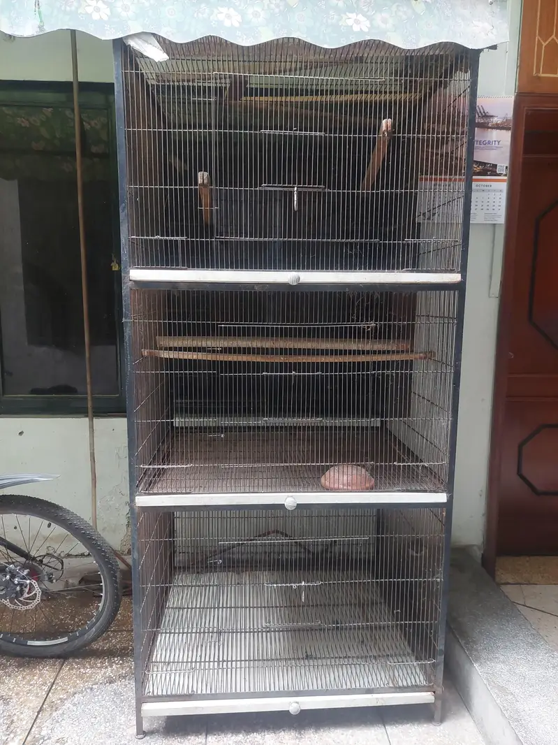 Master cage for parrots — photo 5