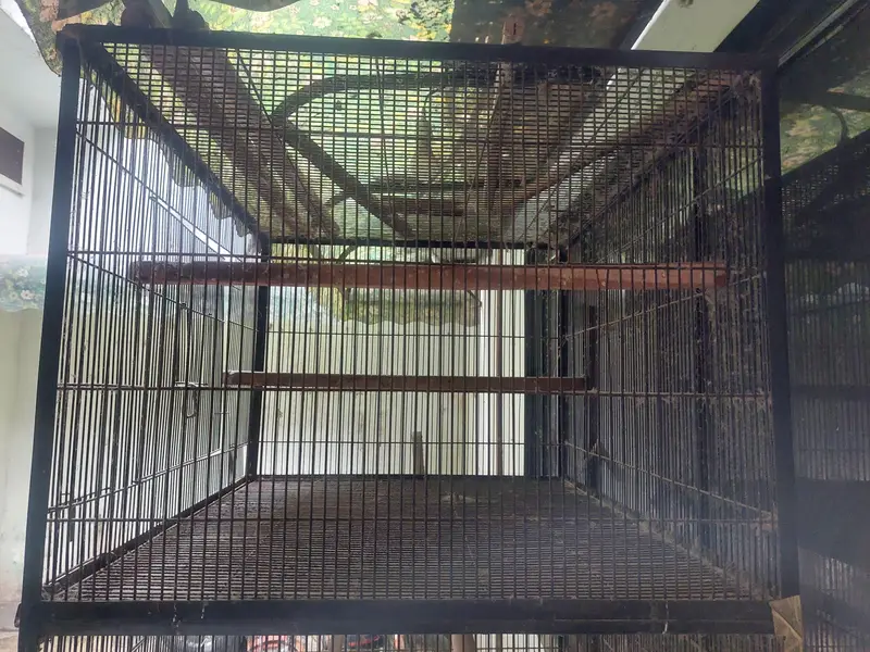 Master cage for parrots — photo 6