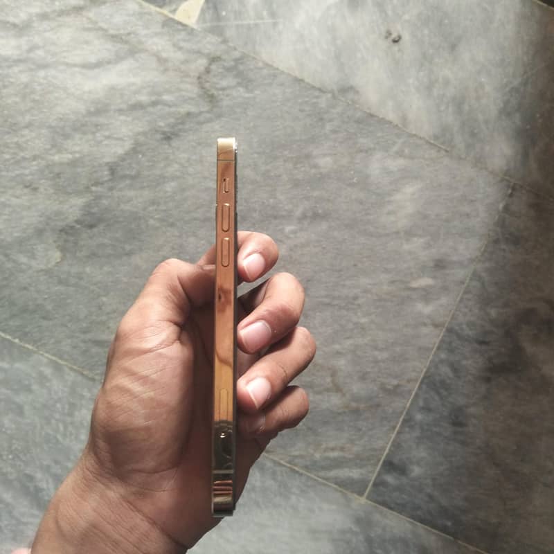 iPhone 12 Pro 2