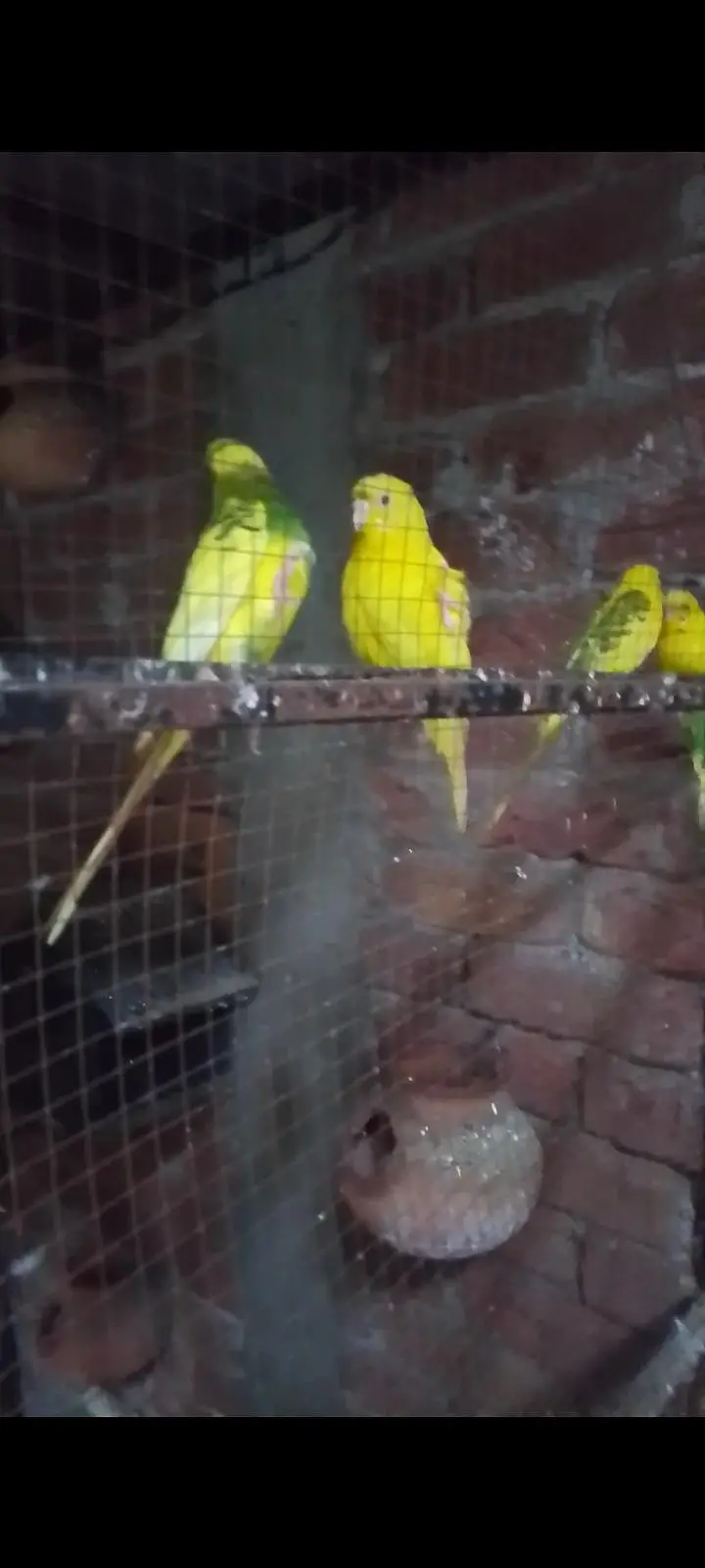 pairs ghr k liye agr Kisi ko chahiye — photo 2