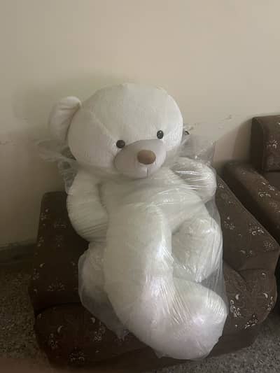 Teddy bear