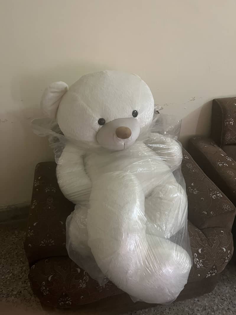 Teddy bear 0