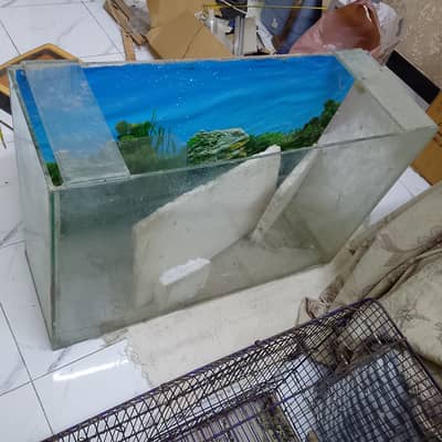 Aquarium fish tank