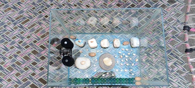 Aquarium sale with decorations and filter