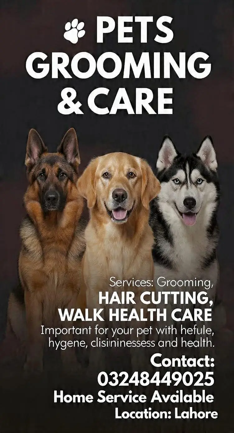 professional dog trainer