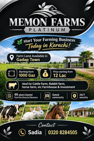 Memon Farms houses near Gulshan e Maymar