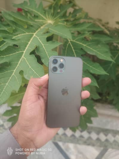 Apple iPhone 12 Pro non pta