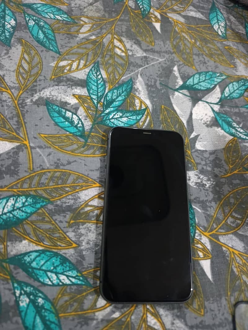 Apple iPhone 11 0