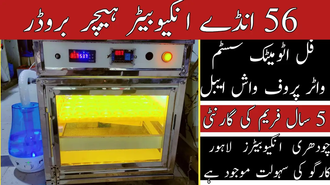Chaudhary Incubators Lahore — photo 9