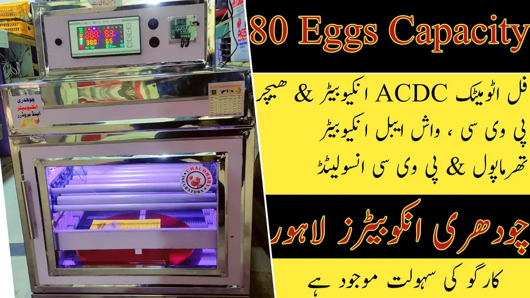 Chaudhary Incubators Lahore — photo 10