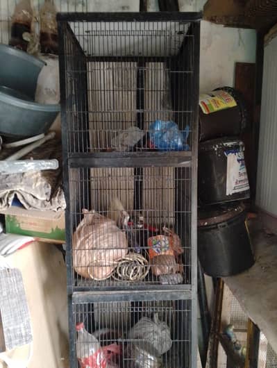 Parrot Cage