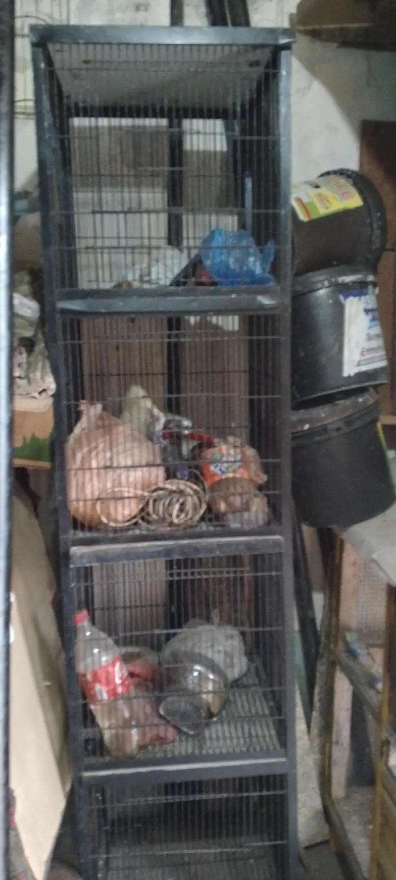 Parrot Cage — photo 2