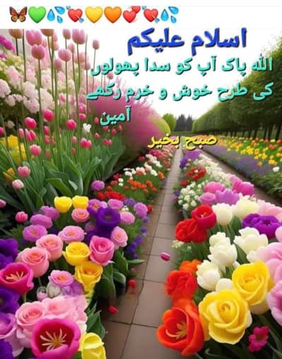we need energetic female