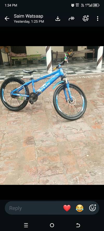 bicycle sale