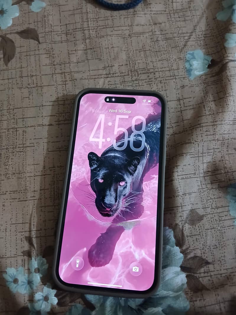 Apple iPhone 16 Plus 0
