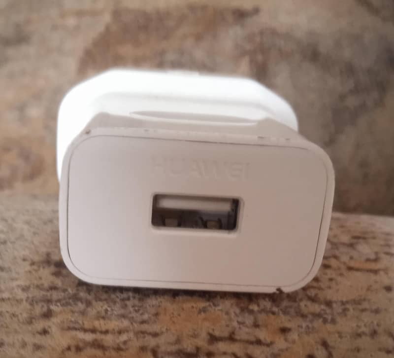 Charger 1