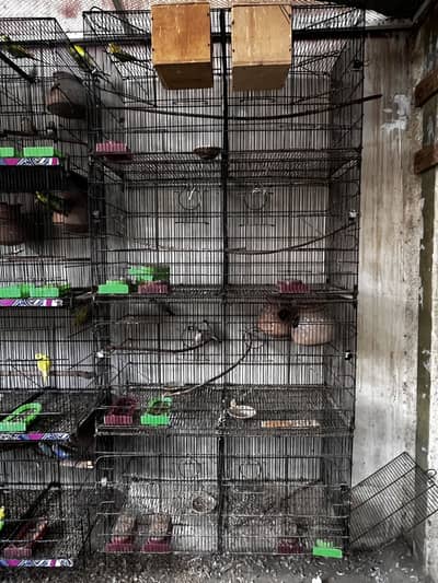8 portion foldable cage