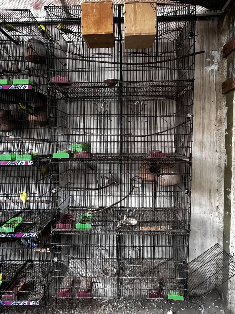 8 portion foldable cage 0
