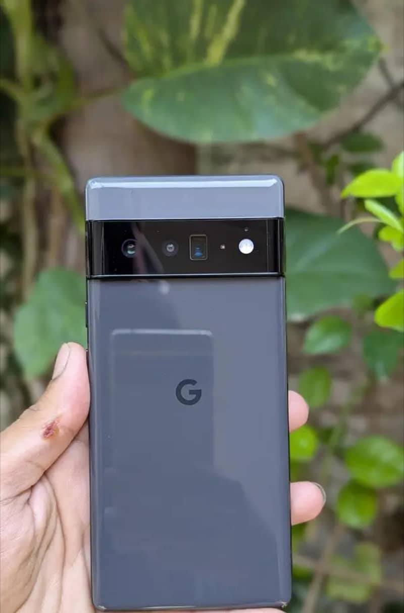 Google Pixel 6 Pro 0