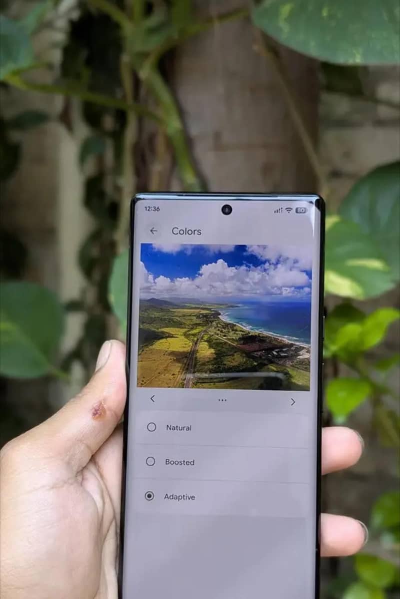 Google Pixel 6 Pro 1
