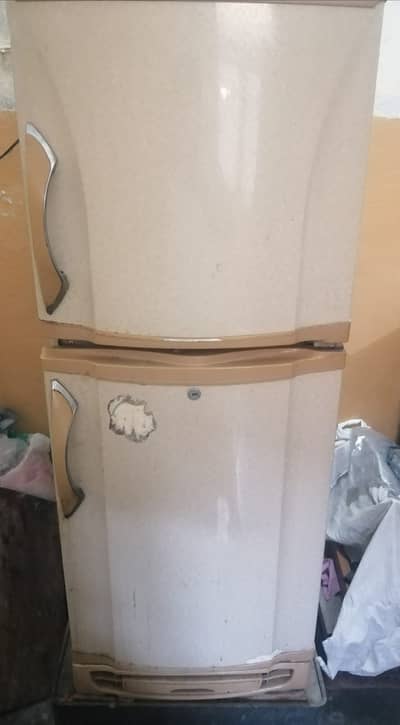 PEL Fridge in Good Working Condition