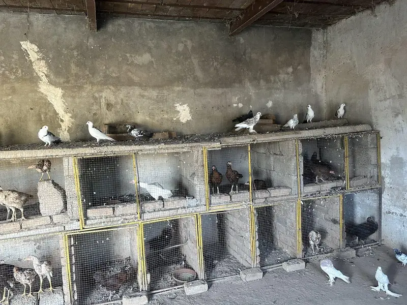 rawalpindi adayal road — photo 2