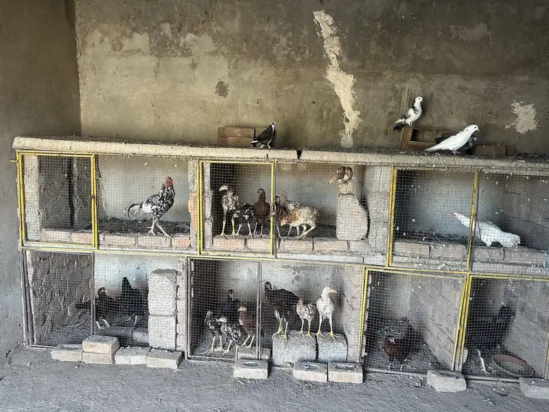 rawalpindi adayal road — photo 3