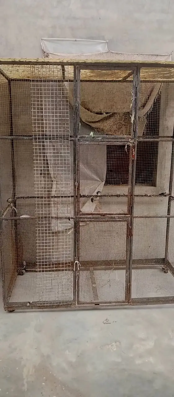 cage ( pinjra) for sale — photo 2