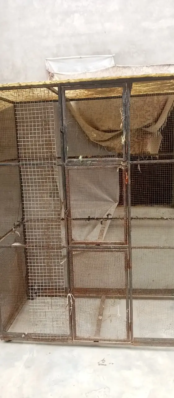 cage ( pinjra) for sale — photo 3