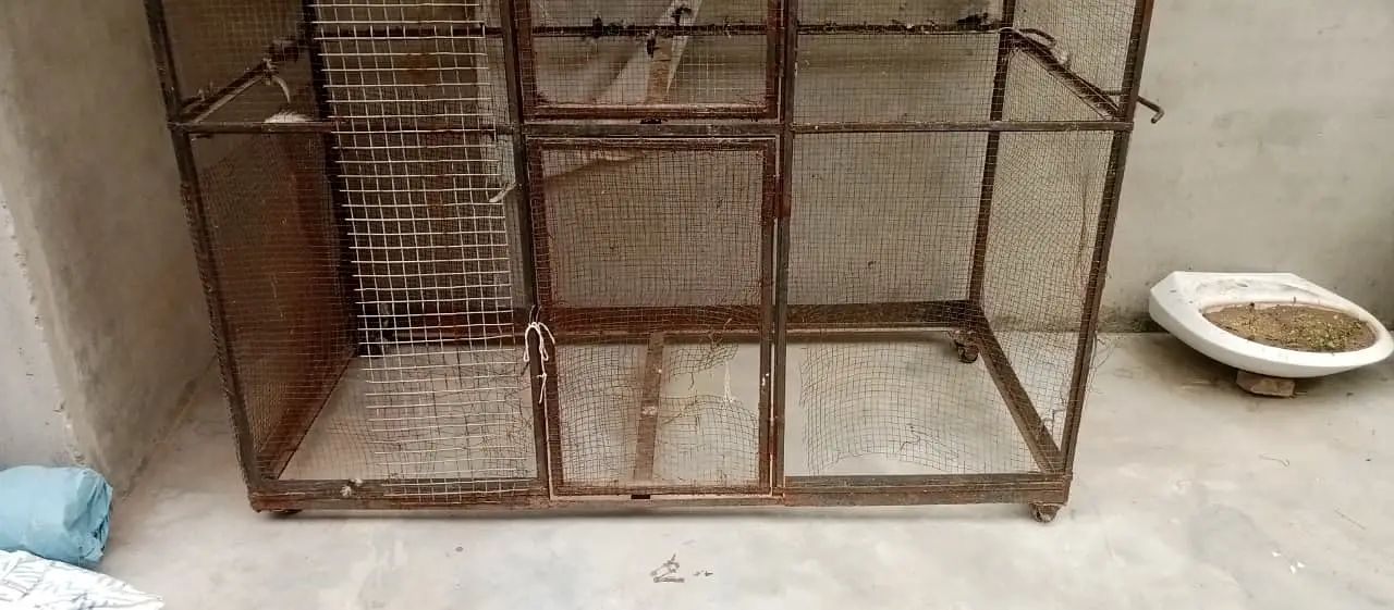 cage ( pinjra) for sale — photo 4