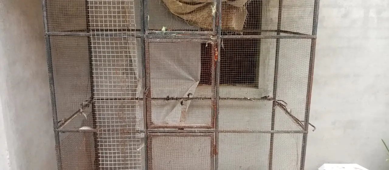 cage ( pinjra) for sale — photo 5