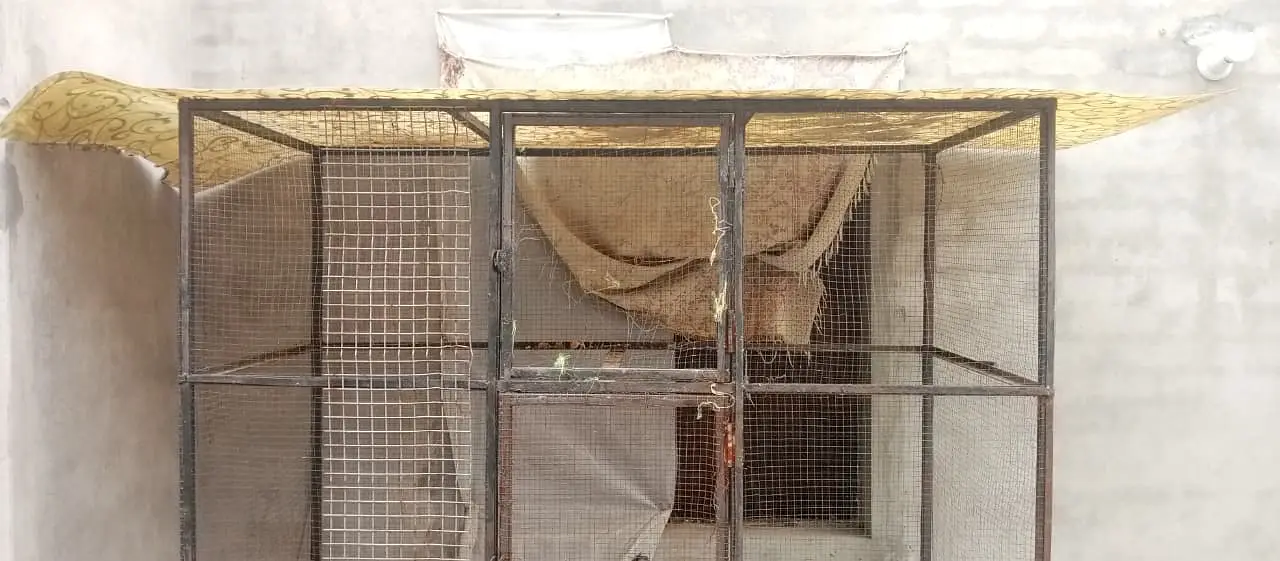 cage ( pinjra) for sale — photo 6