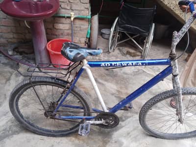 Bicycle
