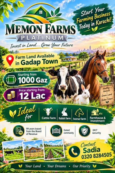 Memon Farms houses near Gulshan e Maymar