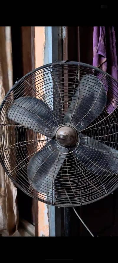 pedistal Fan for sale
