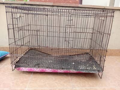 chicks /hen cages iron / steel cage