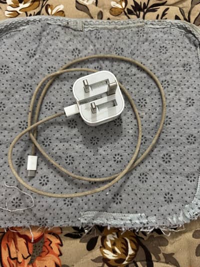 iPhone 15 pro max original charger