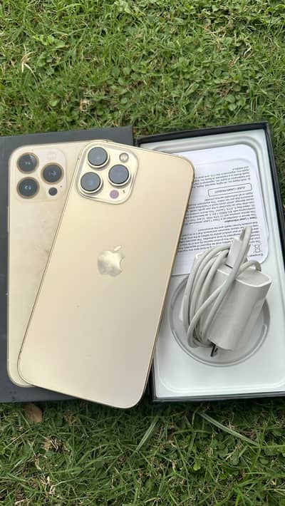 Apple iPhone 13 Pro Max 10 by 10