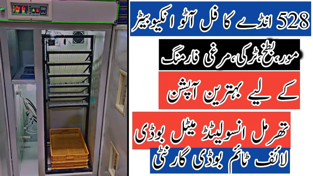 Chaudhary Incubators & Brooders Lahore — photo 2