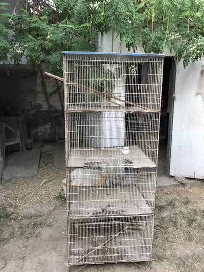 Birds Cages Urgent Sale In Very Reasonable Rates