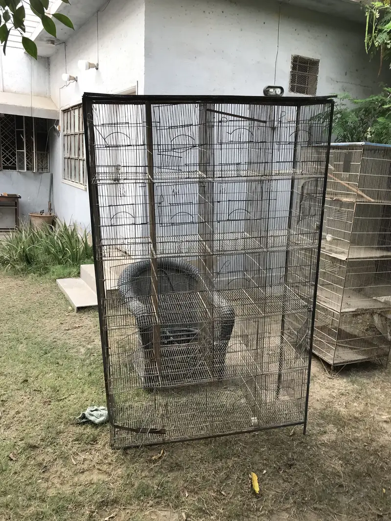 Birds Cages Urgent Sale In Very Reasonable Rates — photo 9