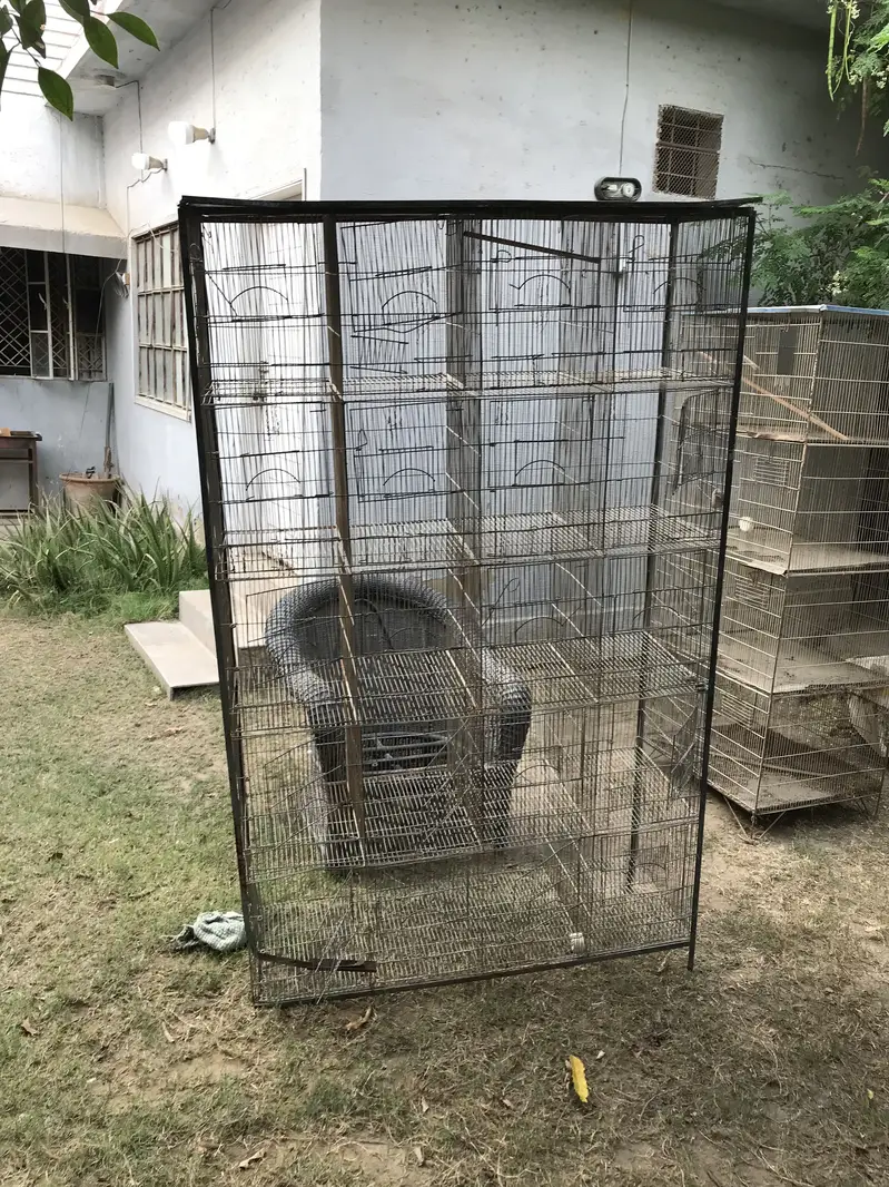 Birds Cages Urgent Sale In Very Reasonable Rates — photo 12