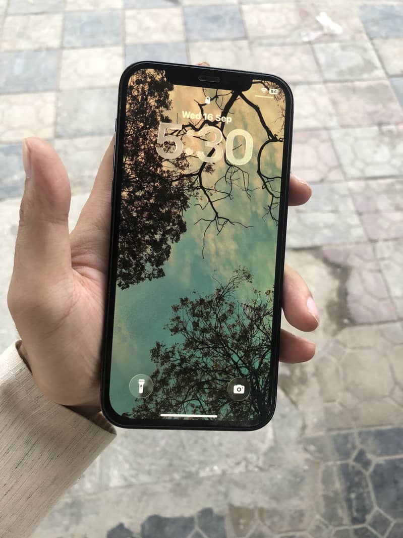Apple iPhone 12 Pro 4