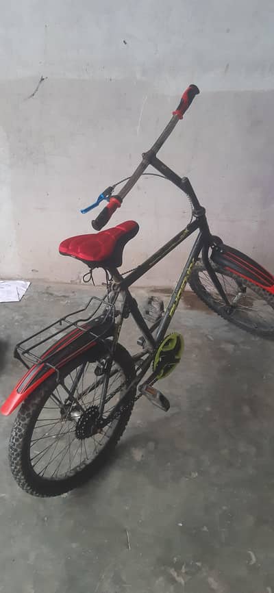 Cycle speedo