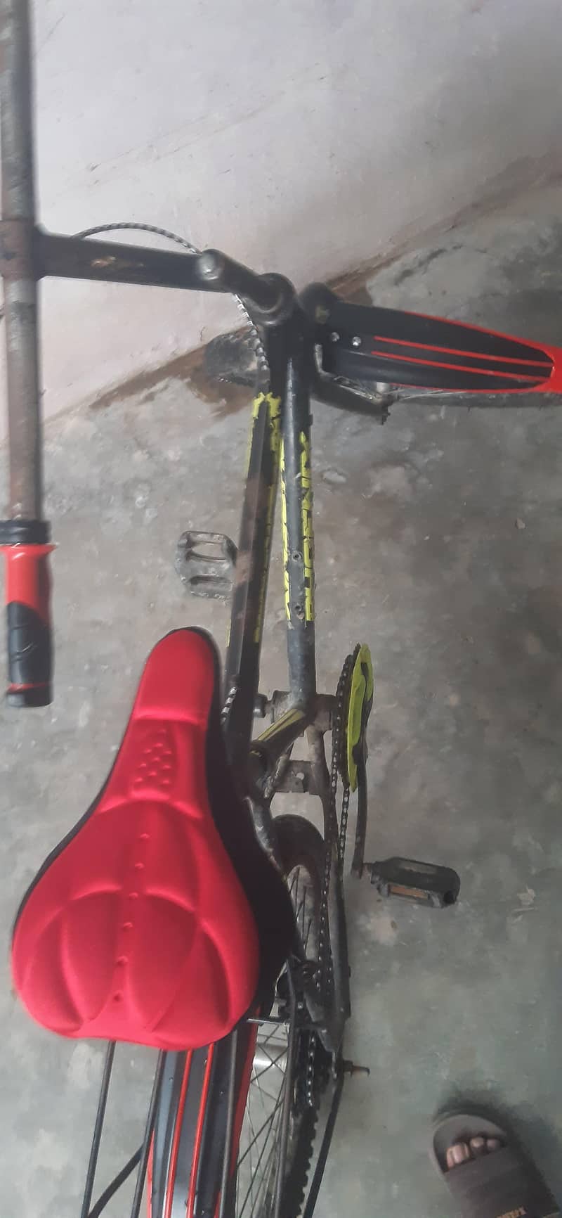 Cycle speedo 1