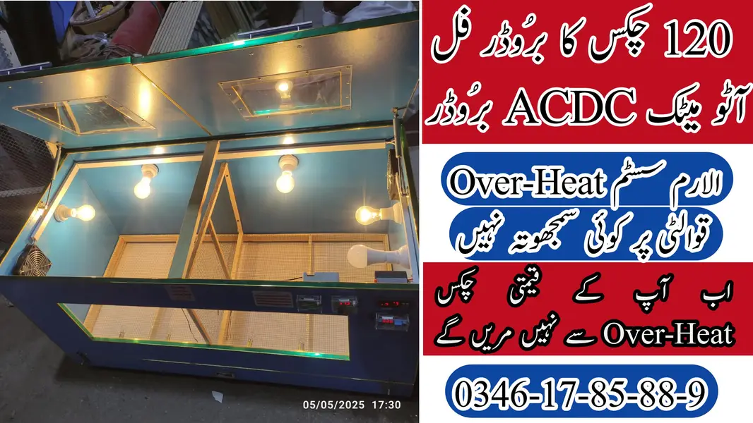Incubators & Brooders Lahore — photo 3